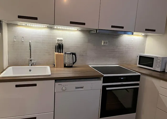 Apartment In Center *